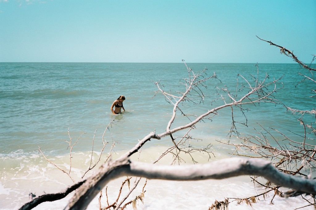 floride mesideesnaturelles